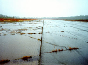 Overview photo of an apron pavement withs a uniform rectangular pattern of high-severity           tranvserse and longitudinal cracks.  The pattern is the result of cracks that have reflected through the asphalt surface at the joints of the PCC slabs below.  In the photo, the cracks appear to be           very wide, and most have grass growing in them.