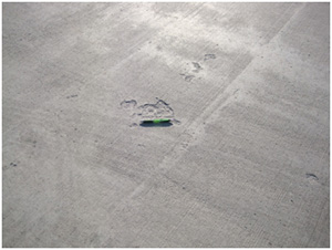 Close-up photo of the pavement surface showing a fairly small single area of scaling.